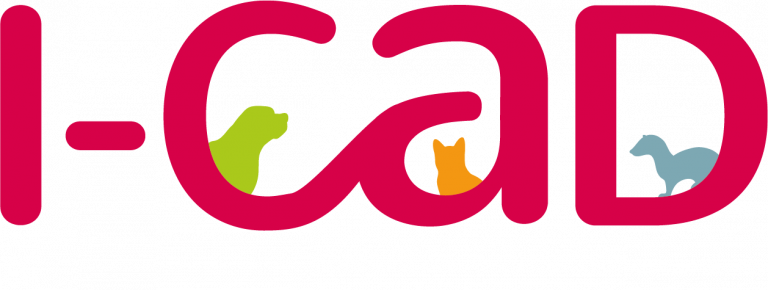 Identification officielle I-CAD des chats et chatons Maine Coon
